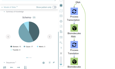 Highlighting a Tiny Example: Conveying Knowledge via bigRing Platform – From DNA to Enzyme